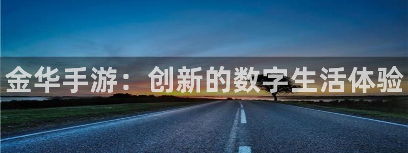 大神吧28预测：金华手游：创新的数字生活体验