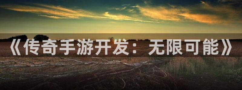 28大神下载苹果版：《传奇手游开发：无限可能》