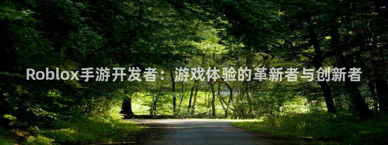 大神吧28怎么登陆：Roblox手游开发者：游戏体验的革新者