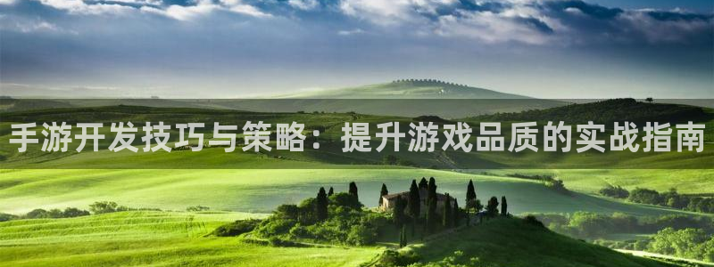 pc28大神软件客户端下载：手游开发技巧与策略：提升游戏品质