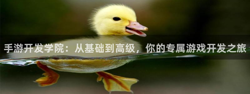 28大神官网网址是什么：手游开发学院：从基础到高级，你的专属