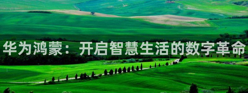 大神网pc28：华为鸿蒙：开启智慧生活的数字革命