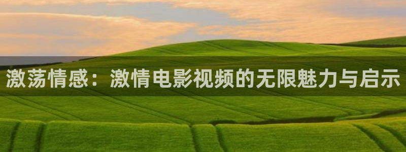 日韩欧美久久不卡