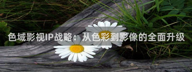 高清不卡视频